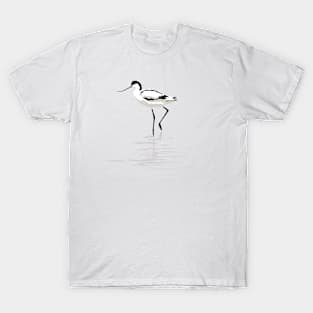 Pied Avocet on White Background T-Shirt